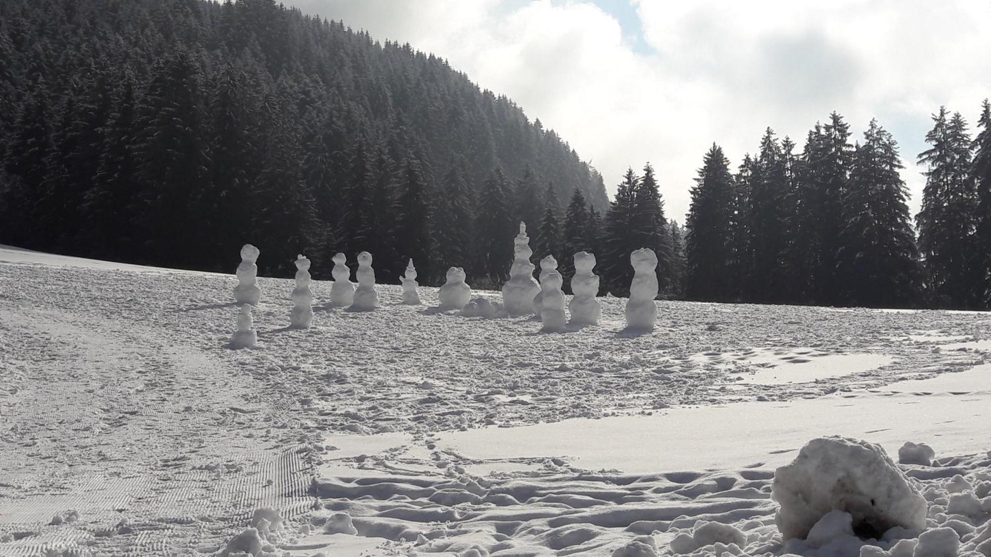 Appartements Alpenschlössl Oberau Buitenkant foto